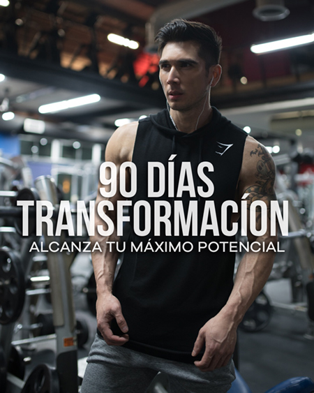 Mike Lavenant Transformación 90 días